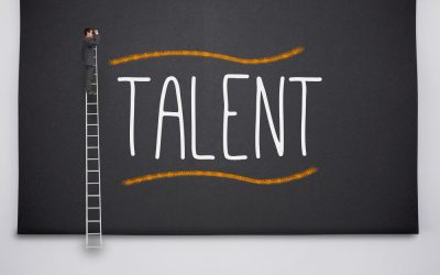 We Find Talent. You Build Success